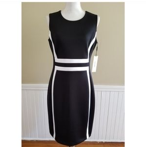 Calvin Klein Women Black White Dress Size 10